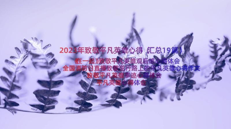 2023年致敬平凡英雄心得（汇总19篇）