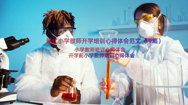 最优小学教师开学培训心得体会范文（19篇）