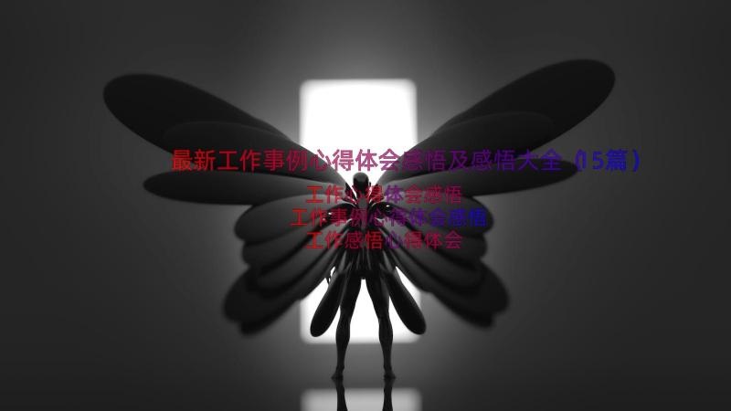 最新工作事例心得体会感悟及感悟大全（15篇）