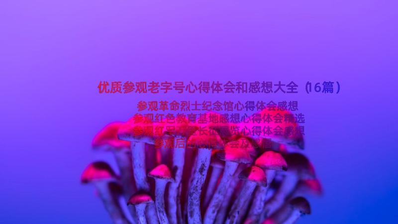 优质参观老字号心得体会和感想大全（16篇）