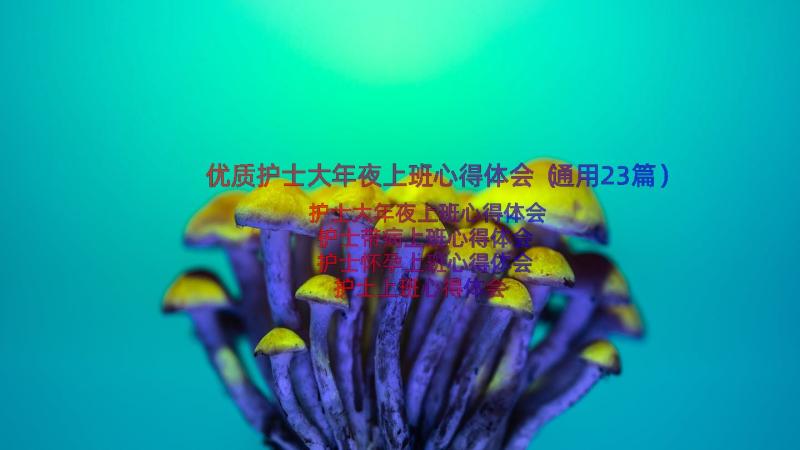 优质护士大年夜上班心得体会（通用23篇）