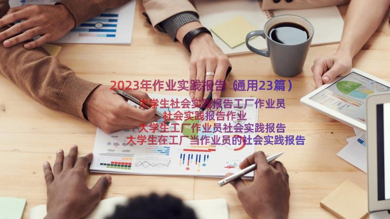 2023年作业实践报告（通用23篇）