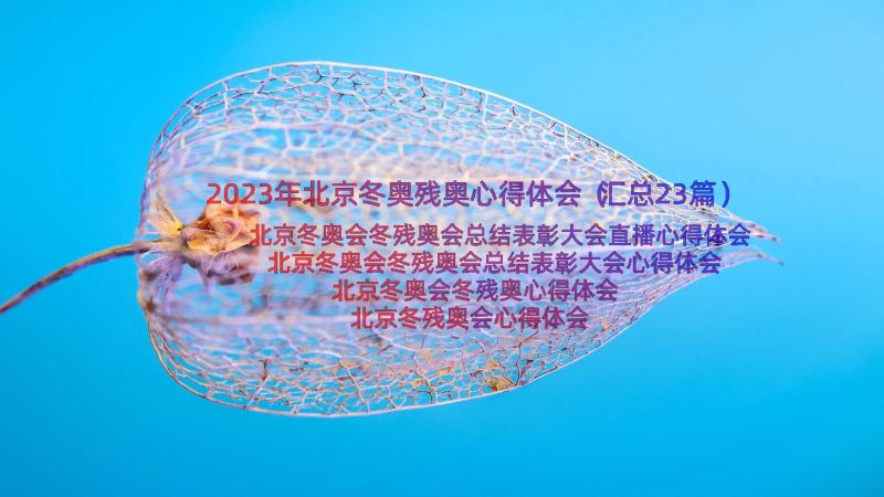 2023年北京冬奥残奥心得体会（汇总23篇）