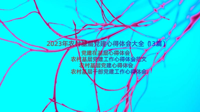 2023年农村基层党建心得体会大全（13篇）