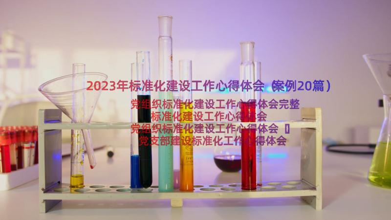 2023年标准化建设工作心得体会（案例20篇）