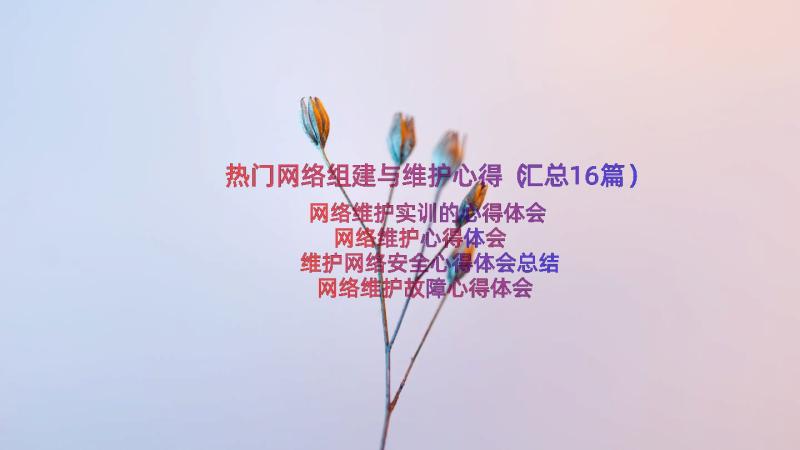 热门网络组建与维护心得（汇总16篇）