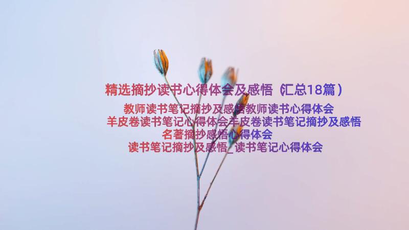 精选摘抄读书心得体会及感悟（汇总18篇）