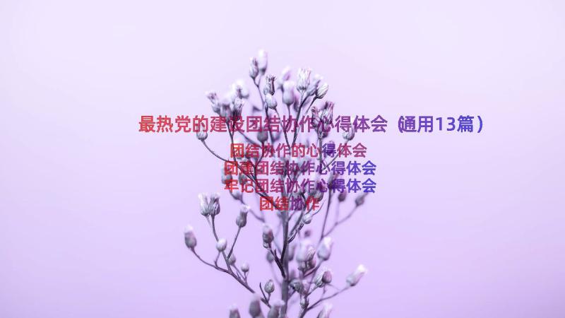 最热党的建设团结协作心得体会（通用13篇）