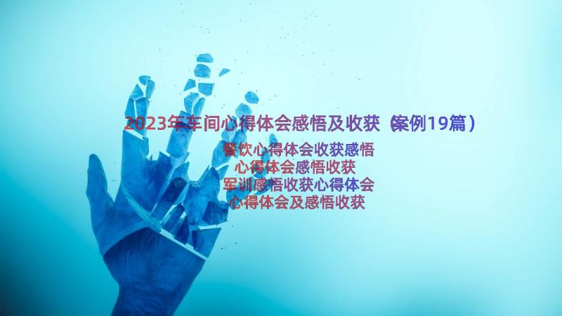 2023年车间心得体会感悟及收获（案例19篇）