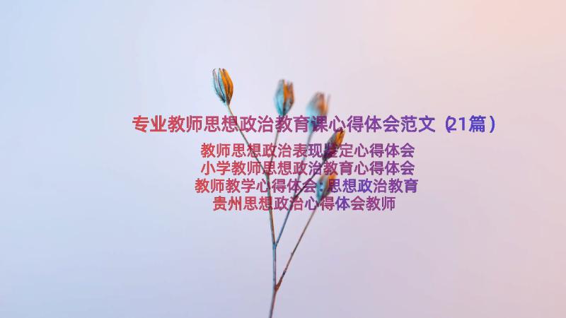 专业教师思想政治教育课心得体会范文（21篇）