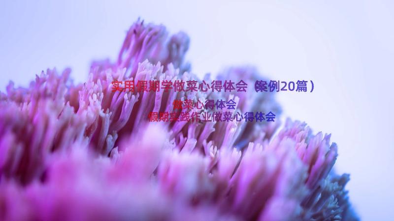 实用假期学做菜心得体会（案例20篇）