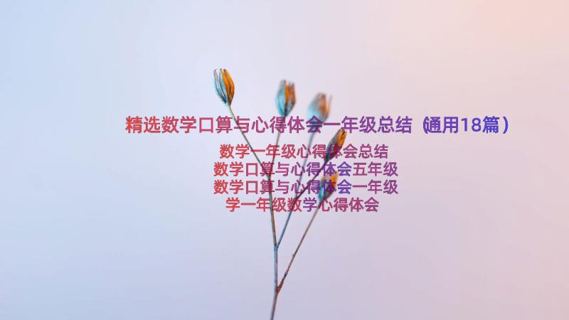 精选数学口算与心得体会一年级总结（通用18篇）