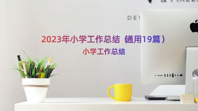 2023年小学工作总结（通用19篇）