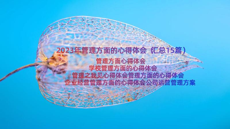 2023年管理方面的心得体会（汇总15篇）