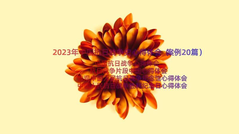 2023年中国抗日战争史心得体会（案例20篇）