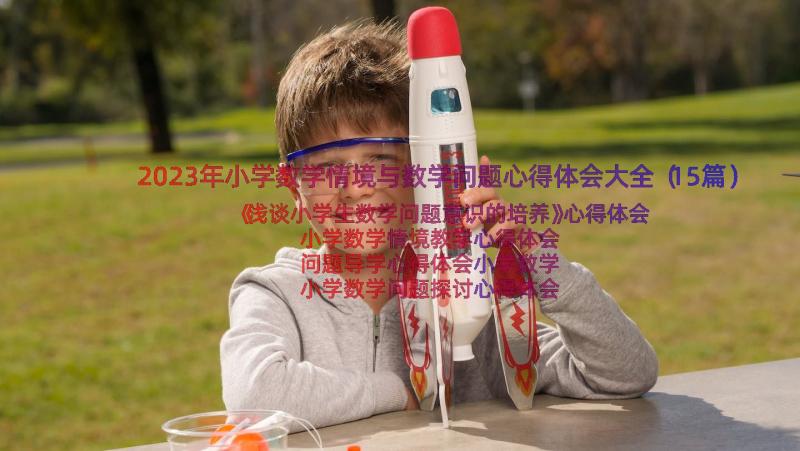 2023年小学数学情境与数学问题心得体会大全（15篇）