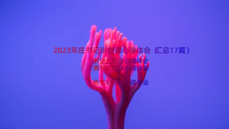 2023年庄书记讲党课心得体会（汇总17篇）