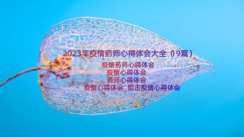 2023年疫情药师心得体会大全（19篇）