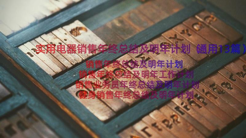 实用电器销售年终总结及明年计划（通用13篇）