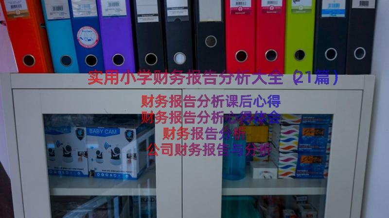 实用小学财务报告分析大全（21篇）