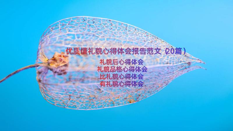 优质懂礼貌心得体会报告范文（20篇）