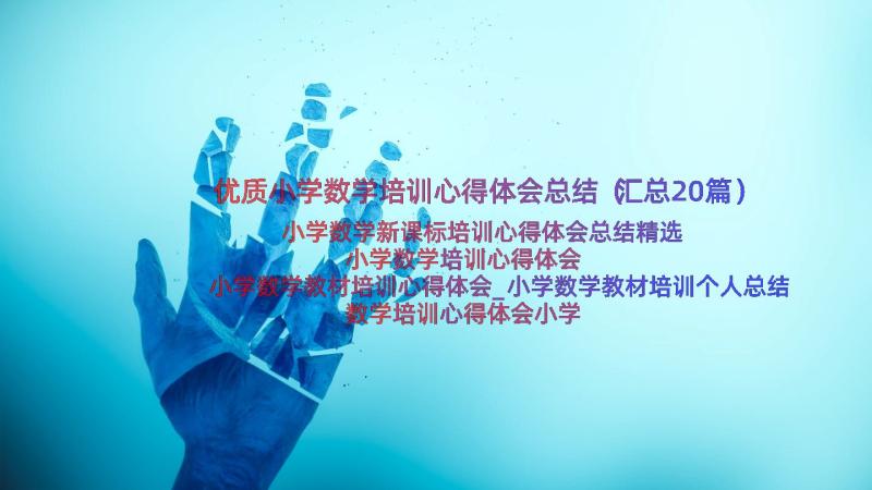 优质小学数学培训心得体会总结（汇总20篇）