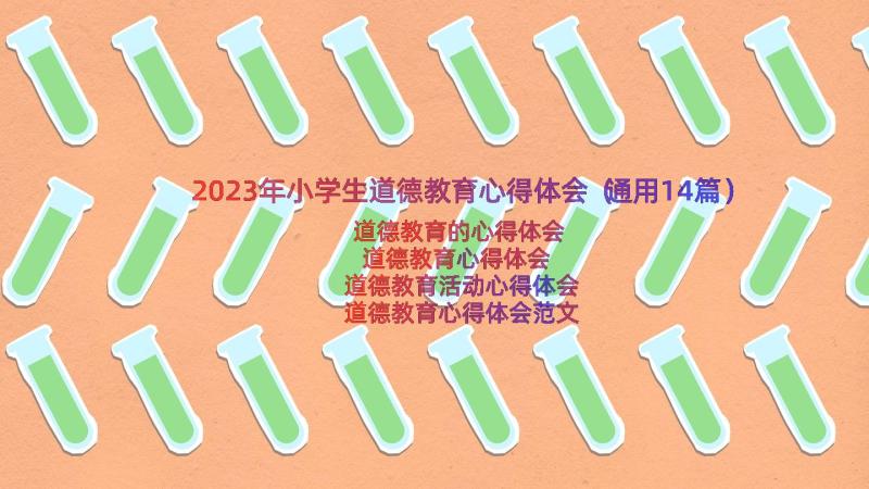 2023年小学生道德教育心得体会（通用14篇）