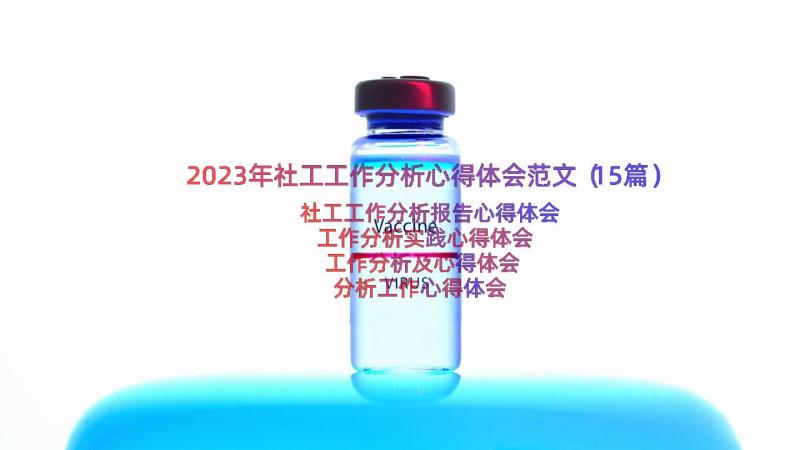 2023年社工工作分析心得体会范文（15篇）