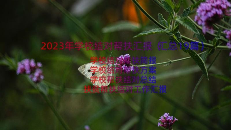 2023年学校结对帮扶汇报（汇总19篇）