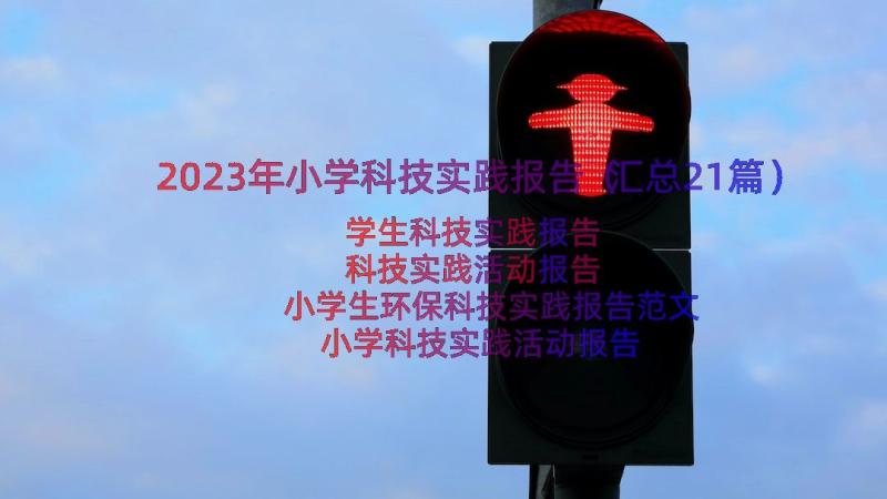 2023年小学科技实践报告（汇总21篇）