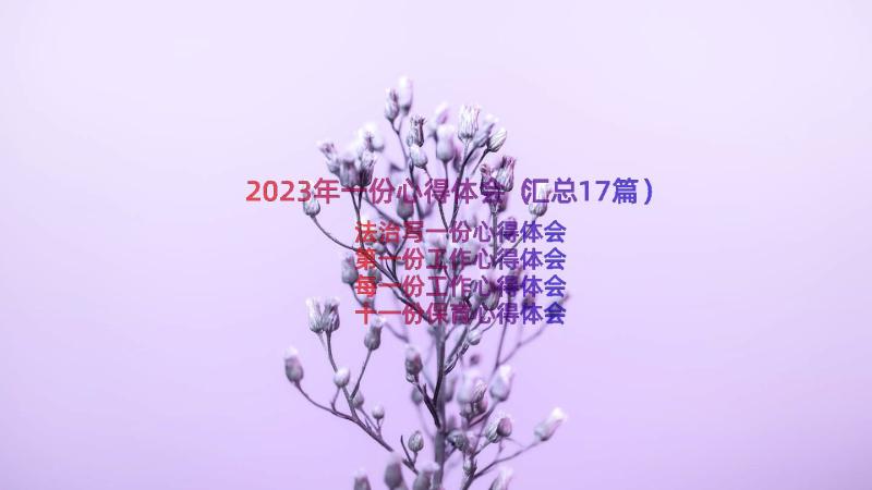 2023年一份心得体会（汇总17篇）