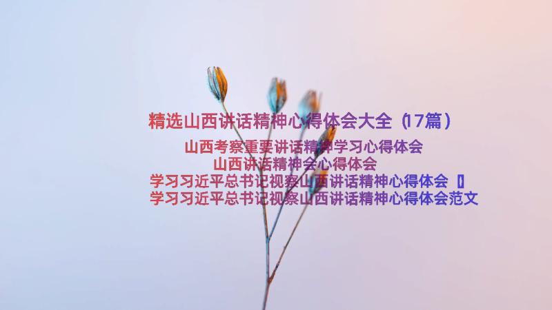 精选山西讲话精神心得体会大全（17篇）