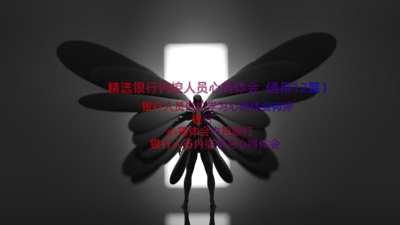 精选银行内控人员心得体会（通用12篇）