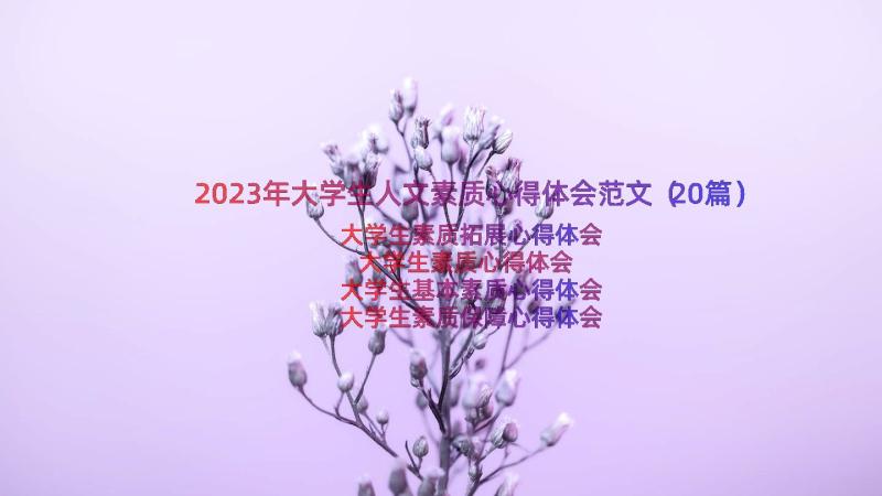 2023年大学生人文素质心得体会范文（20篇）