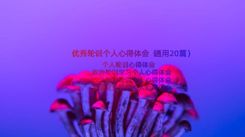 优秀轮训个人心得体会（通用20篇）