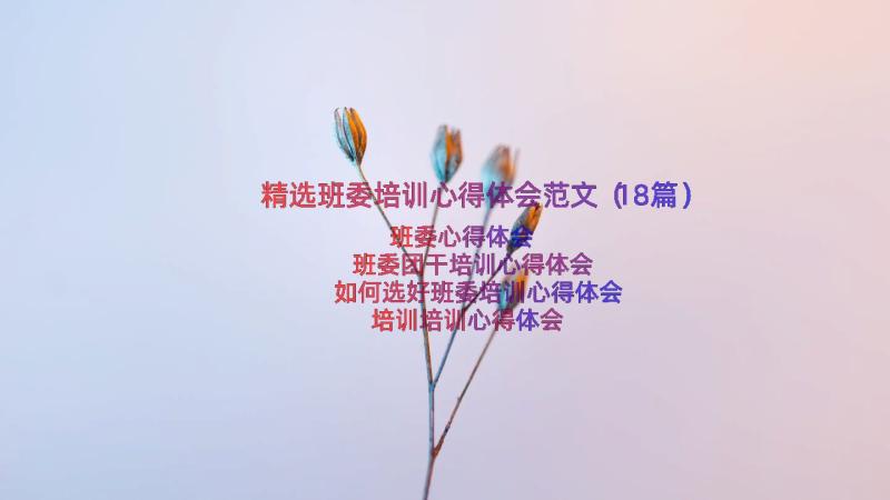 精选班委培训心得体会范文（18篇）