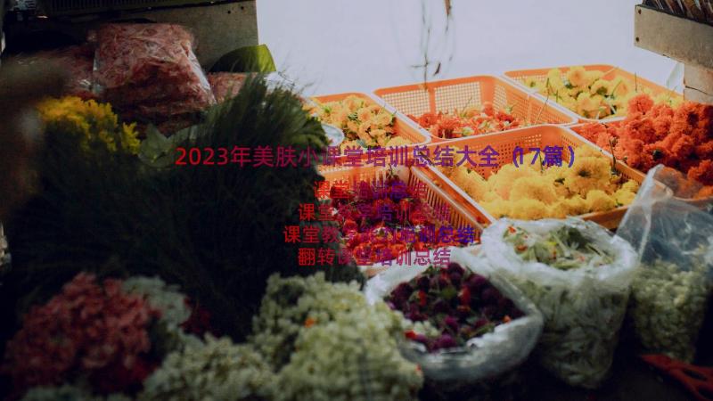 2023年美肤小课堂培训总结大全（17篇）