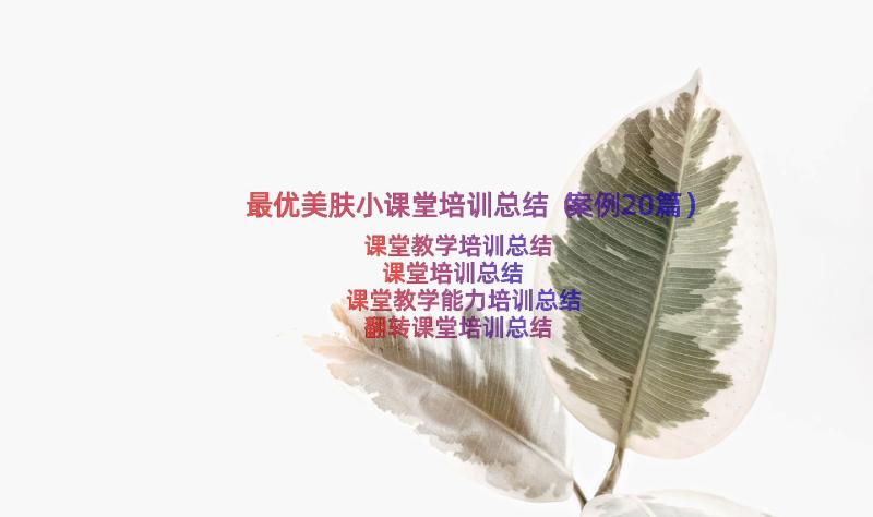 最优美肤小课堂培训总结（案例20篇）