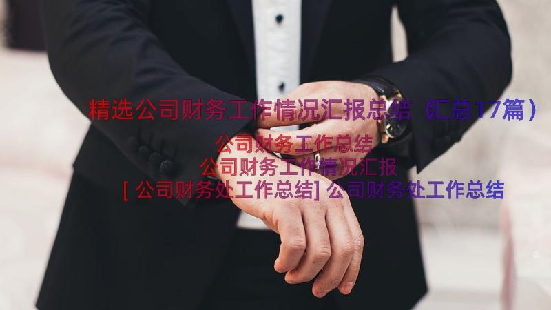 精选公司财务工作情况汇报总结（汇总17篇）