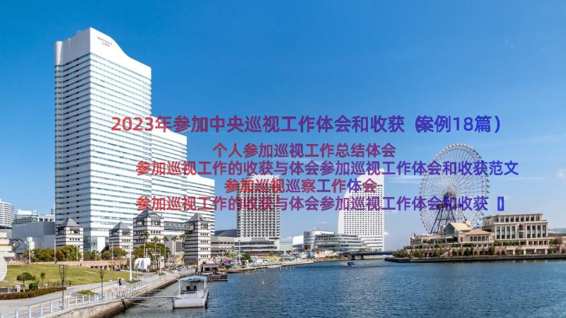 2023年参加中央巡视工作体会和收获（案例18篇）