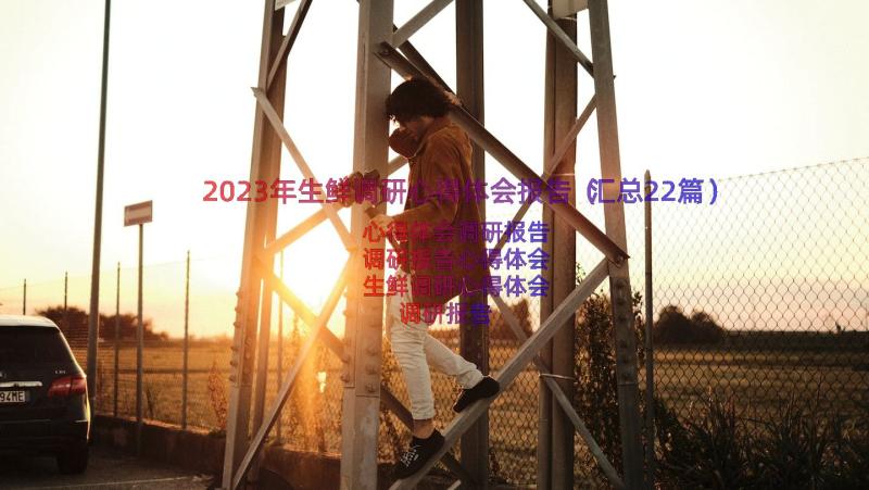 2023年生鲜调研心得体会报告（汇总22篇）