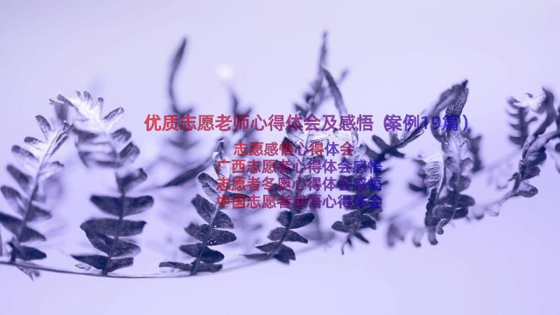 优质志愿老师心得体会及感悟（案例19篇）