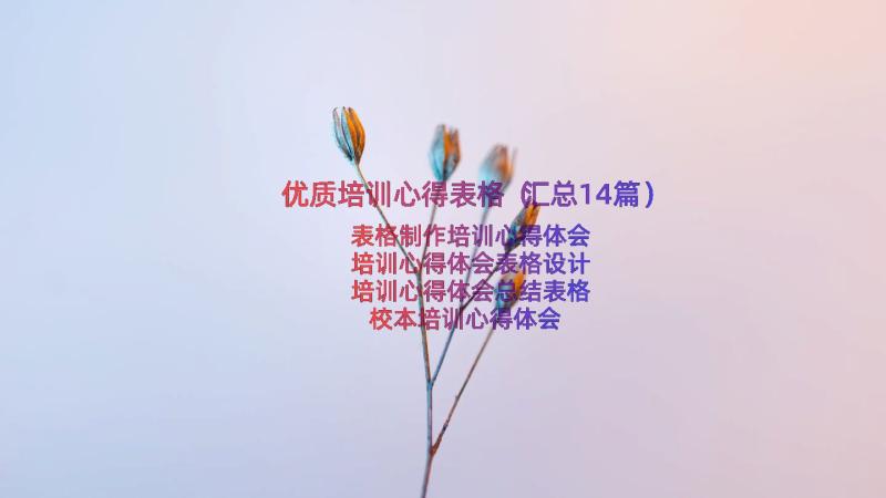 优质培训心得表格（汇总14篇）