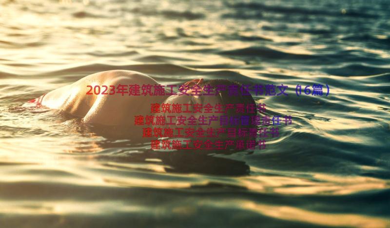 2023年建筑施工安全生产责任书范文（16篇）