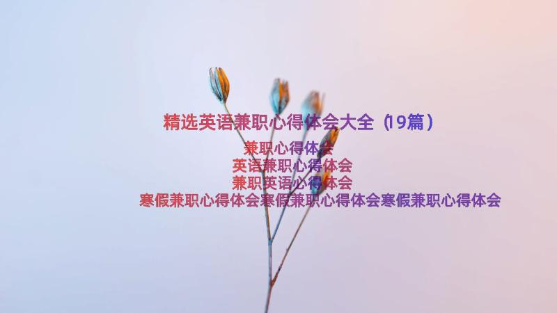 精选英语兼职心得体会大全（19篇）