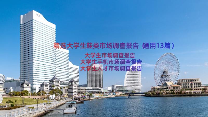 精选大学生鞋类市场调查报告（通用13篇）