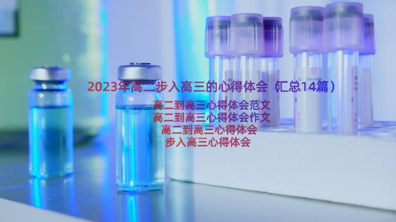 2023年高二步入高三的心得体会（汇总14篇）