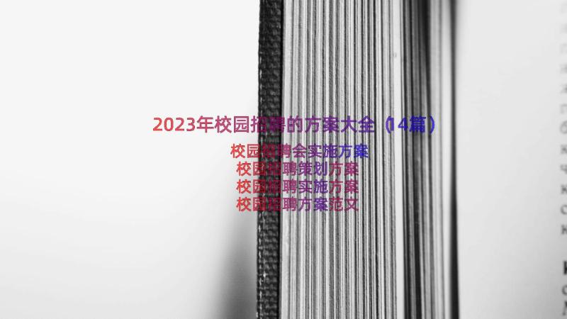 2023年校园招聘的方案大全（14篇）