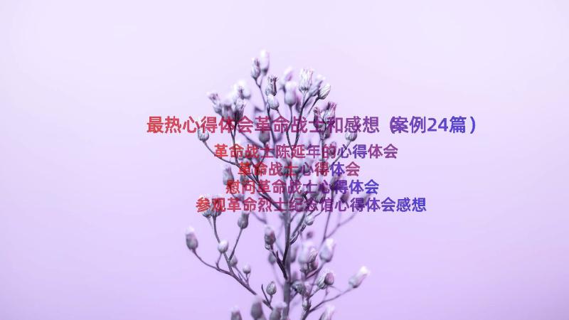 最热心得体会革命战士和感想（案例24篇）