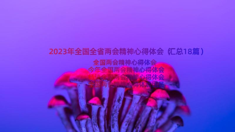 2023年全国全省两会精神心得体会（汇总18篇）